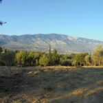 Plot-for-sale-in-Kountourata