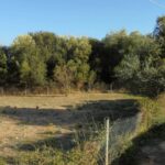 Plot-for-sale-in-Pessada-2